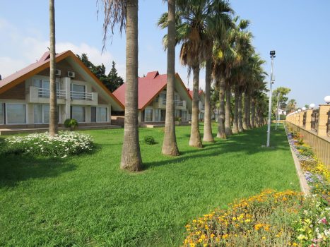 دریاکنار3